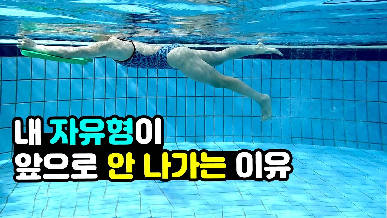 자유형 안 나가는 이유?! 수영 초보 발차기 꿀팁!!!