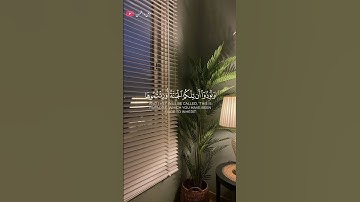 تلاوة خاشعة القارى انس المالك 🎧❤️‍🩹 #اكسبلور #أرح_سمعك_وقلبك #طمئن_قلبك #راحة_نفسية #هدوء