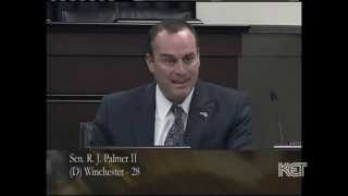 Sen. R. J. Palmer Responds to Need for Senate Bill 1