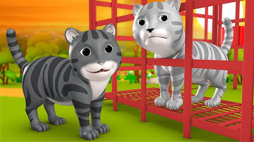 Kali Aur Safed Billi Hindi Moral Stories for Kids 3D Animated | Cat Tales