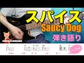 スパイス(Saucy Dog)弾き語り【コード付き/Capo1】