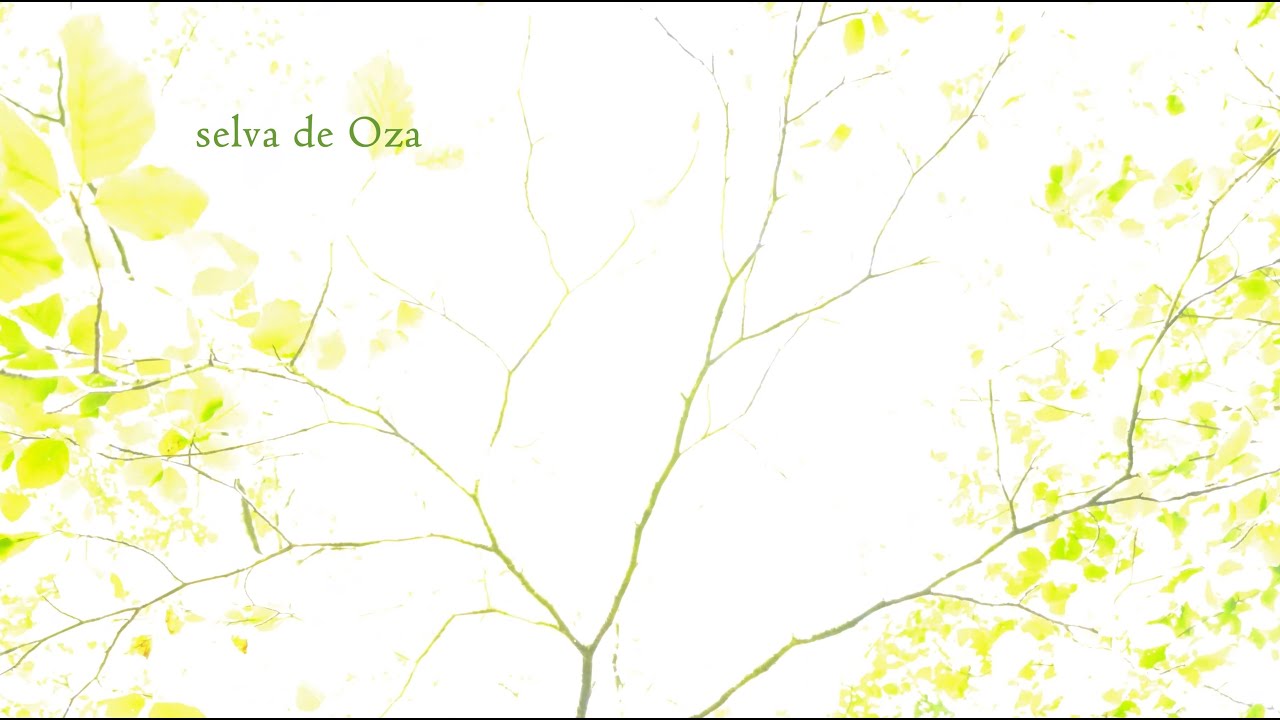 SELVA DE OZA / Valle de Siresa. Micro documental Pirineo Aragonés.