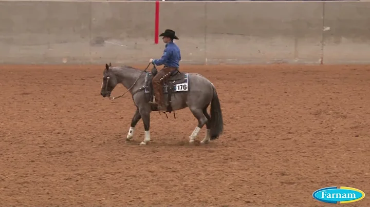 210429 Open Bridle Spectacular Christian Lybbert o...