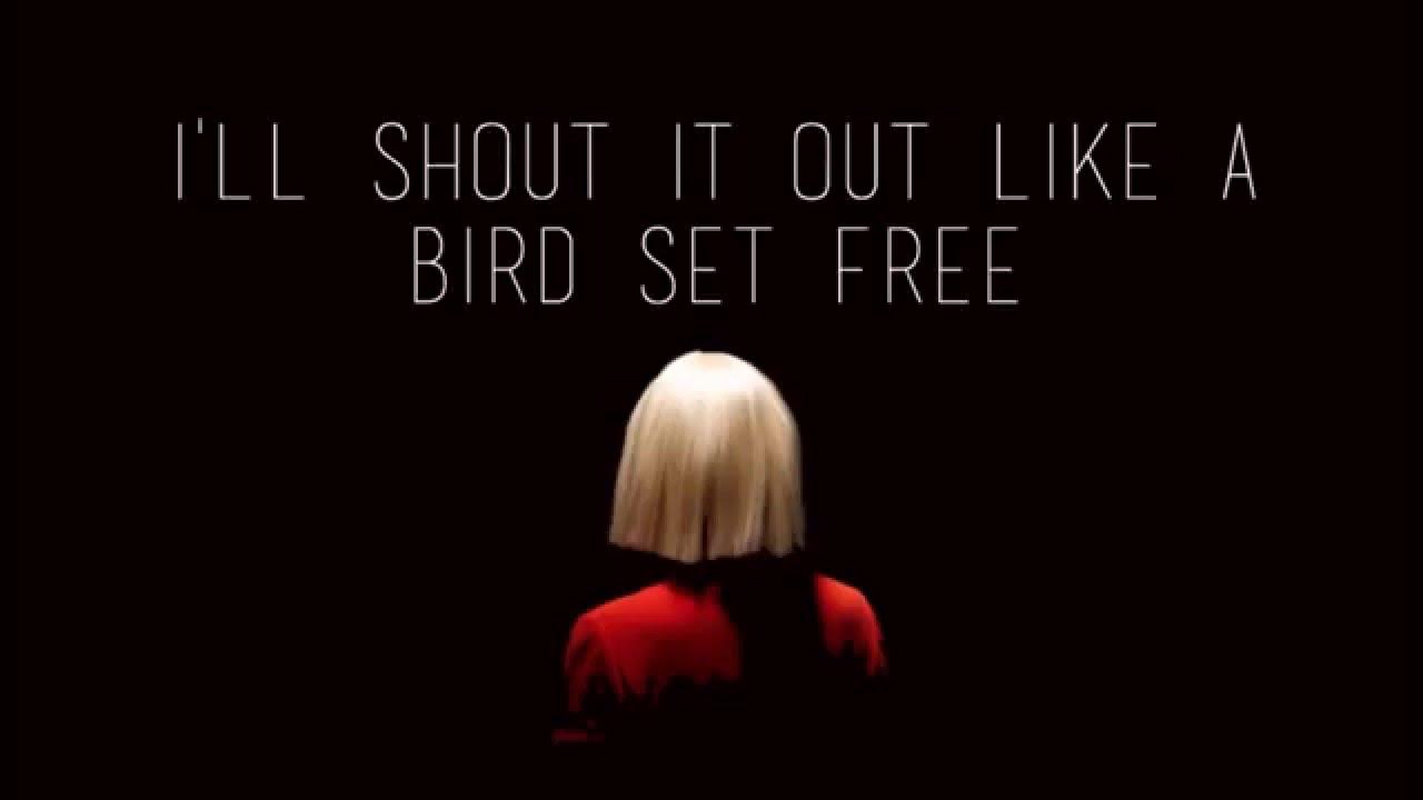 Bird Set Free Sia Lyrics YouTube Music Bird set free sia lyrics youtube music