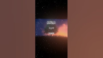 سورة النمل|63|القارئ:#محمد_اللحيدان #قران #quran #راحة_نفسية #قران_كريم #تلاوة_هادئة#آية#تلاوة_خاشعة