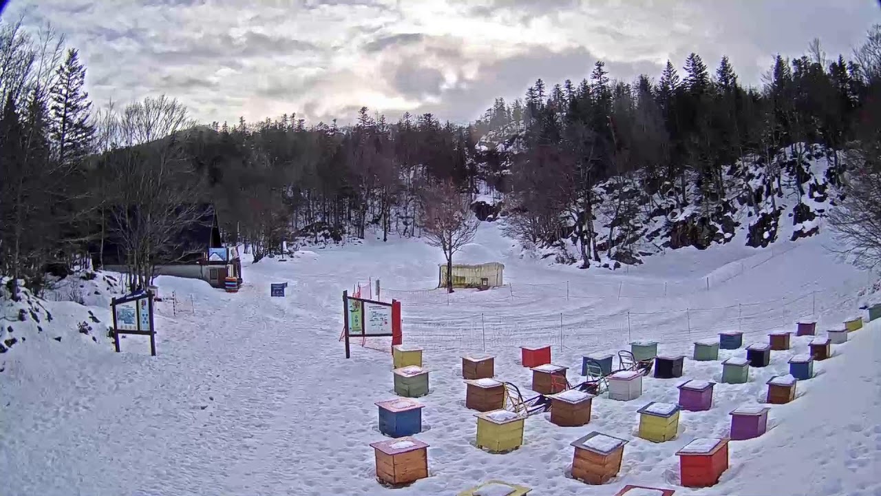❄️ Espace Nordique – La Pierre Saint-Martin : glisse, neige & chiens de traîneau 🎿