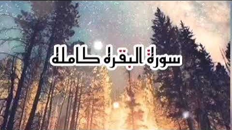 سورة البقرة كامله Surah Al-Baqarah is complete بصوت جميل لطرد الشياطين وتحصين البيت شغلها كل يوم