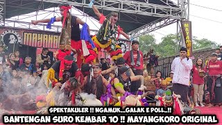 Bantengan Suro Kembar 10❗Galak Ngamuk Jaranan MAYANGKORO ORIGINAL Live Janti Wates Kediri