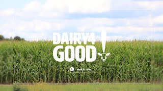 How Hemdale Farms Uses Technology to Improve Efficiency & Keep Cows Comfortable