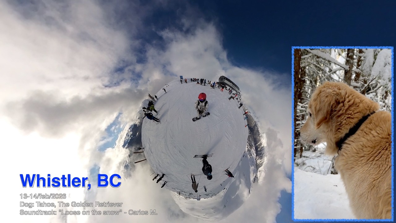 Snowboarding Whistler BC Feb 2026 | Ambient Soundtrack & Mountain Dogs