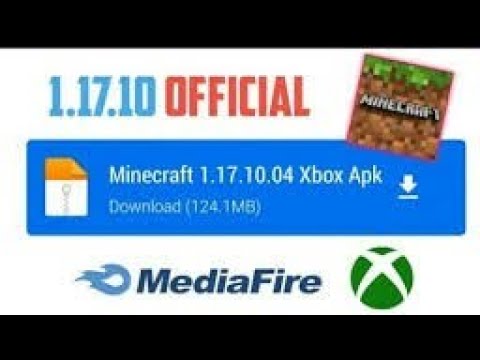 download minecraft 1 17 10