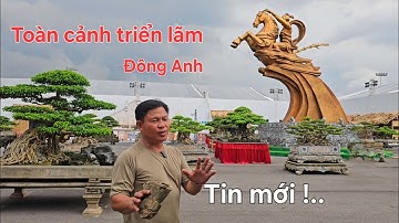 Cập nhật thông tin mới nhất từ triển lãm Đông Anh 2025