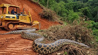 WOW Amazing: Bulldozer Clearing Forested Mountains to Build a New Road