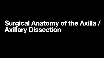 Surgical Anatomy of the Axilla / Axillary Dissection