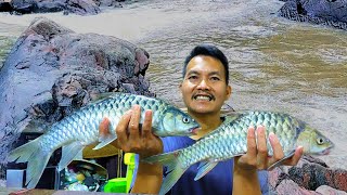 🔺️Menjala solo,dapat ikan kayangan‼️