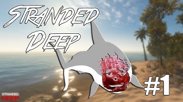 My Wilson | Stranded Deep #1