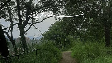 ما تيسر من سورة آل عمران ليلة  8 / رمضان/ 1445 بصوت القاريء سلمان العتيبي