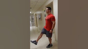 Single Leg Decline Squat