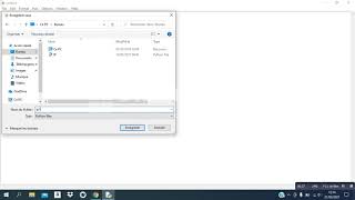 program python to get the ip of any website