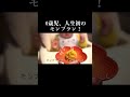 【離乳食】初めてのモンブランに目がギラギラ！美味しすぎて真剣な顔で食べ続ける！#赤ちゃん #離乳食 #0歳児 #成長記録