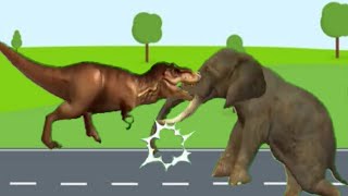 Hilarious Large Animal Stampede Compilation Funny Animal Green Screen Video