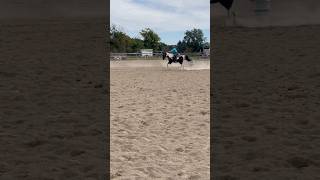 Horse Running - Flash Running Plug At A Fun Show. He Was Having A Ton Of Fun