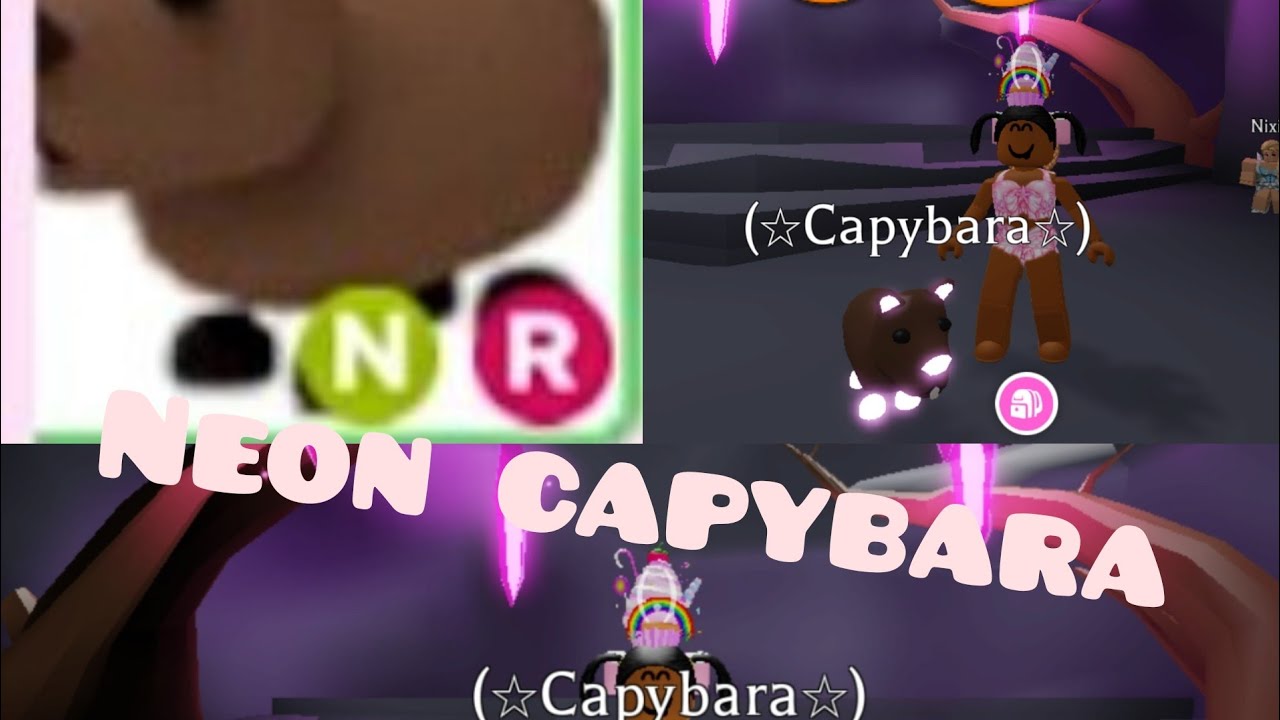 Capybara Adopt Me - she only adopted me because of my neon pet in adopt me roblox