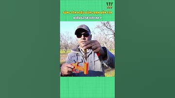 Súng tín hiệu dùng đạn bắn tỉa, điều gì sẽ xảy ra? #cothebanchuabiet #khampha #kienthucthuvi