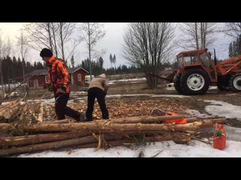 Eramokin Rakentaminen Hirsien Kuoriminen Ja Kuivaaminen Youtube