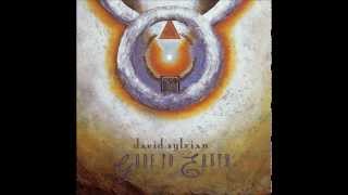 David Sylvian - Silver moon
