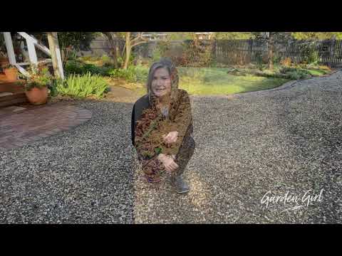 Garden Girl Whites Landscaping Pebbles You Garden Girl Whites Landscaping, Garden Girl Landscaping