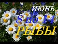 РЫБЫ. ТАРО-ПРОГНОЗ на НЕДЕЛЮ с 8 по 14 ИЮНЯ 2020г.