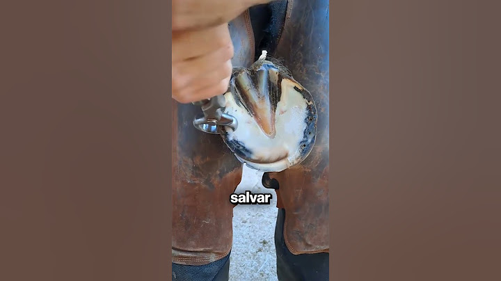 Restauración Satisfactoria de Herraduras 🥺