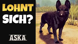 ASKA Guide: Wulfar Begleiter - Was kann der Hund? Tipps &amp; Fazit