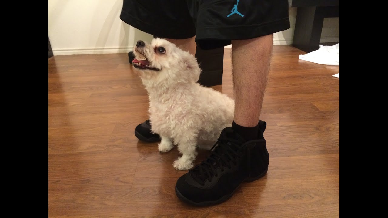 triple black foamposites for sale online