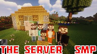 Minecraft But It's The Server SMP