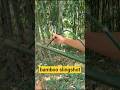 DIY Bamboo Slingshot with Wonderful Creations | Village Craft Ideas #bambooart #slingshot #Diy