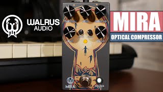 Walrus Audio Mira Optical Compressor | Demo