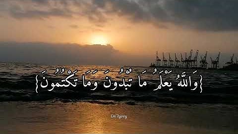القارئ ماهر المعيقلي - {اعلموا ان الله شديد العقاب وان الله غفور رحيم} - {سورة المائدة}