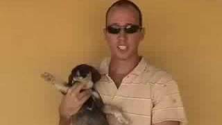 Popquiz Bonaire Samson And Gerts Samson Rock