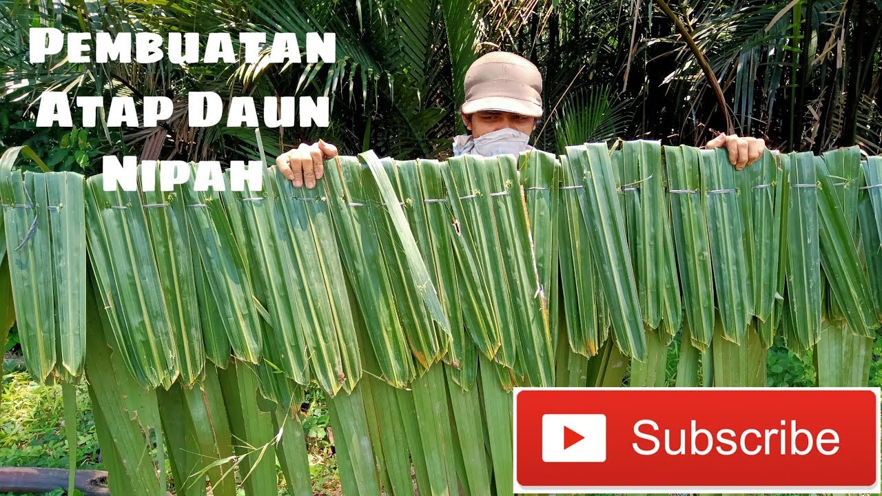 Cara Menganyam Atap Nipah