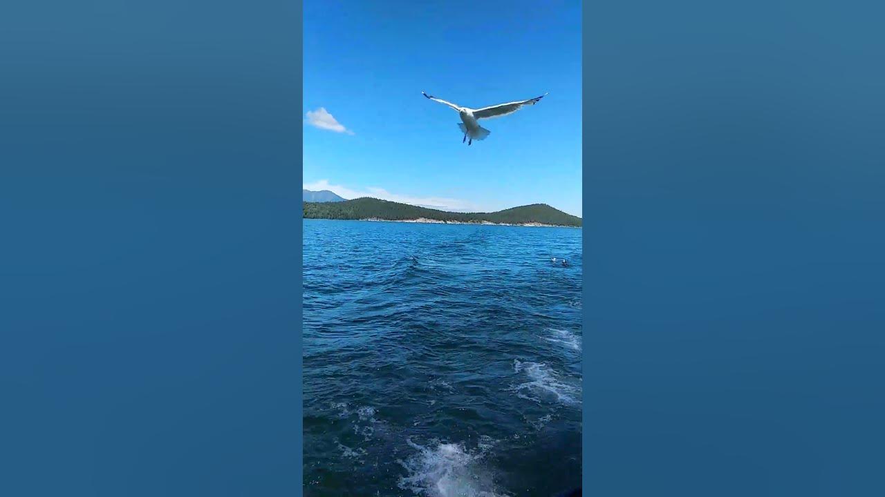 Китайцы корабль Байкал Чивыркуйский залив