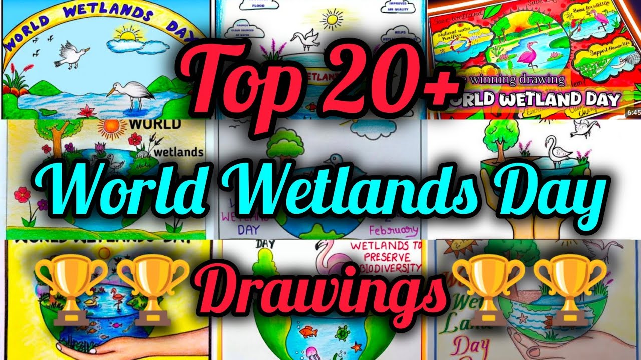 Top 20+ World Wetlands Day Drawing Ideas/World Wetlands Day Poster/Wetlands Day Poster Drawings Easy