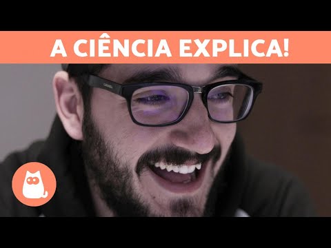 Vídeo: Gatos E Nossa Saúde