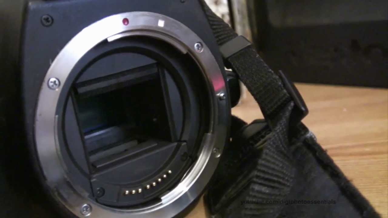 Camera Explained Shutter at Gabriella Kintore blog