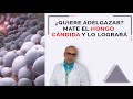 ¿Quiere adelgazar? Mate el hongo cándida y lo logrará.