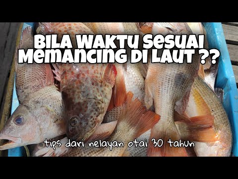 Video: Bilakah masa terbaik untuk pergi memancing?