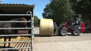 Weidemann – Hoftrac® 1160 Einsatz Pferdehof