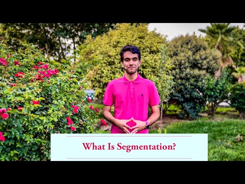 What is market segmentation?   بخش‌بندی بازار چیست؟