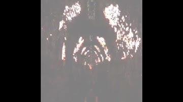 HIT SINGLE LET THERE BE LIGHT